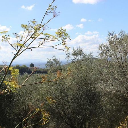 Country House Il Covo Della Civetta Guest House Barberino di Val dʼElsa Exterior foto