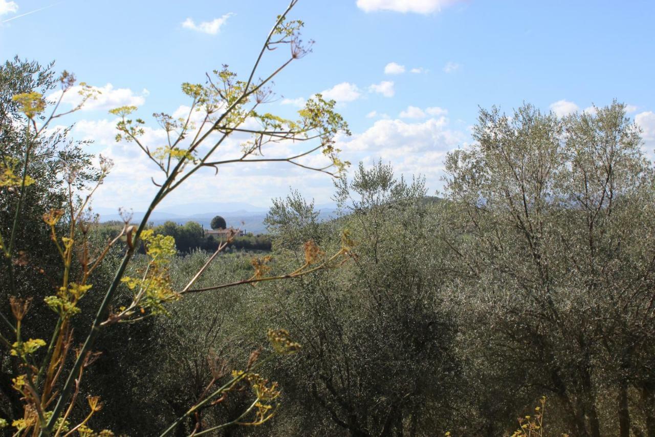 Country House Il Covo Della Civetta Guest House Barberino di Val dʼElsa Exterior foto